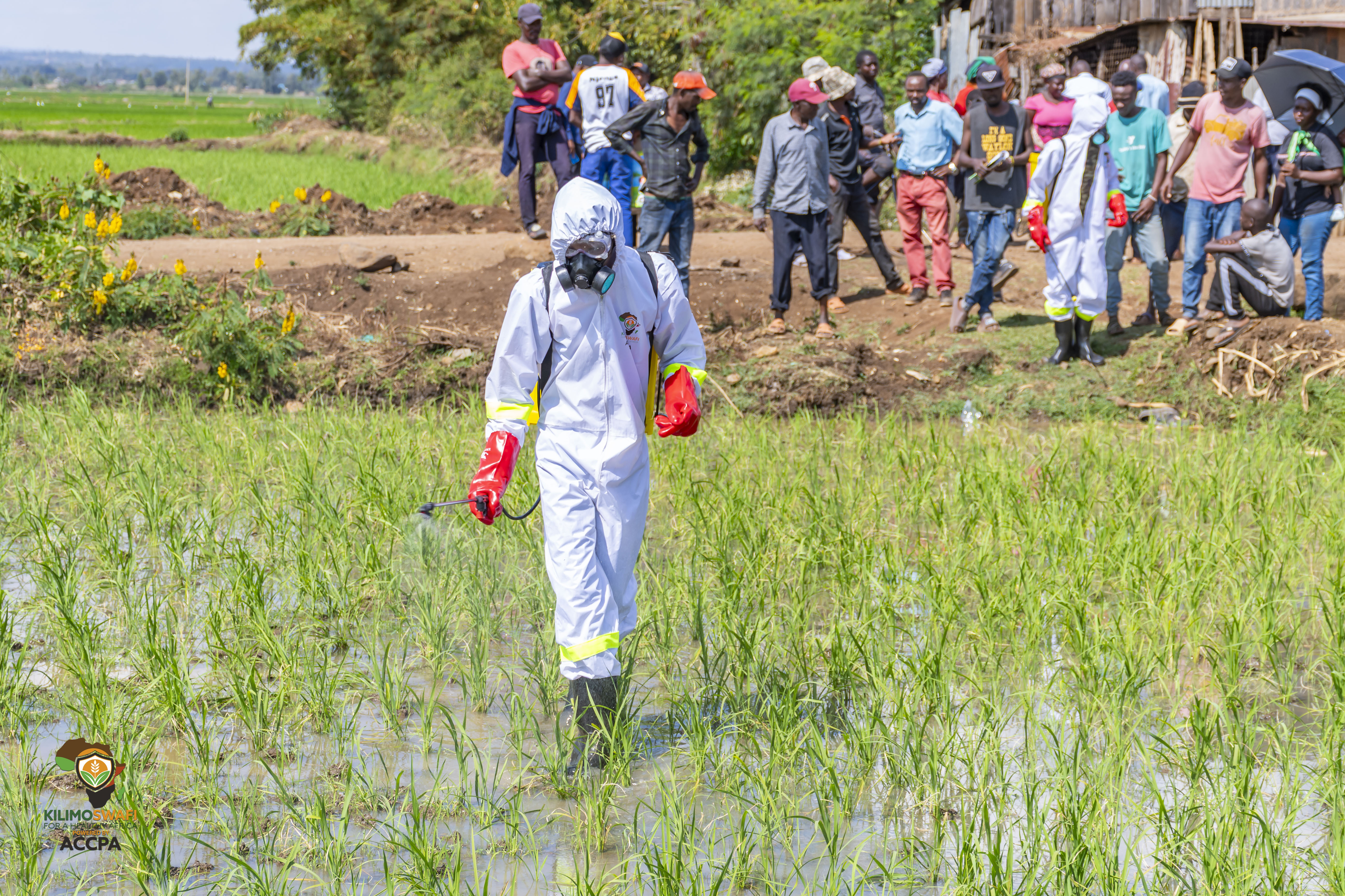 Water Management and Safety