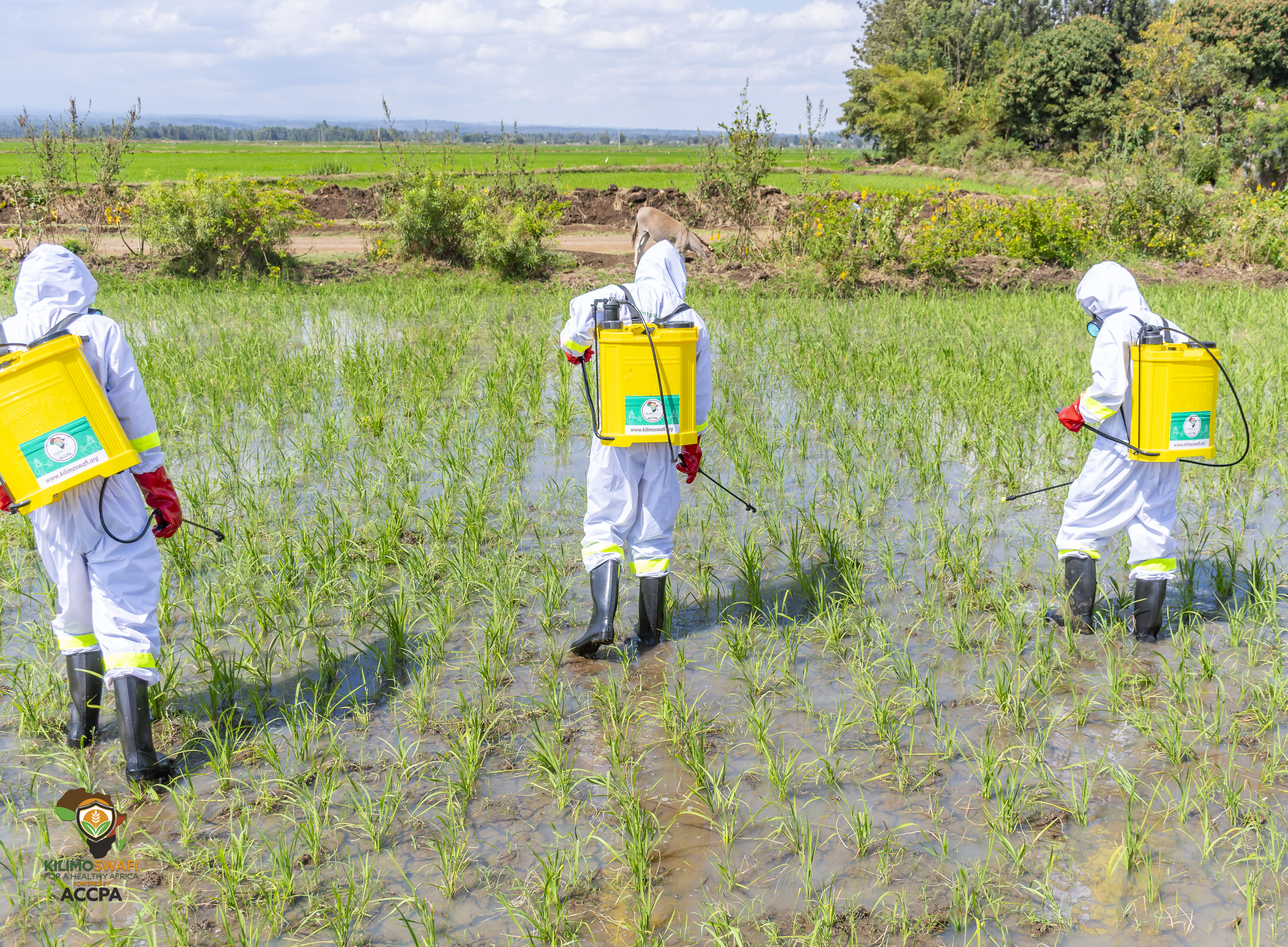 Pesticide Application Best Practices