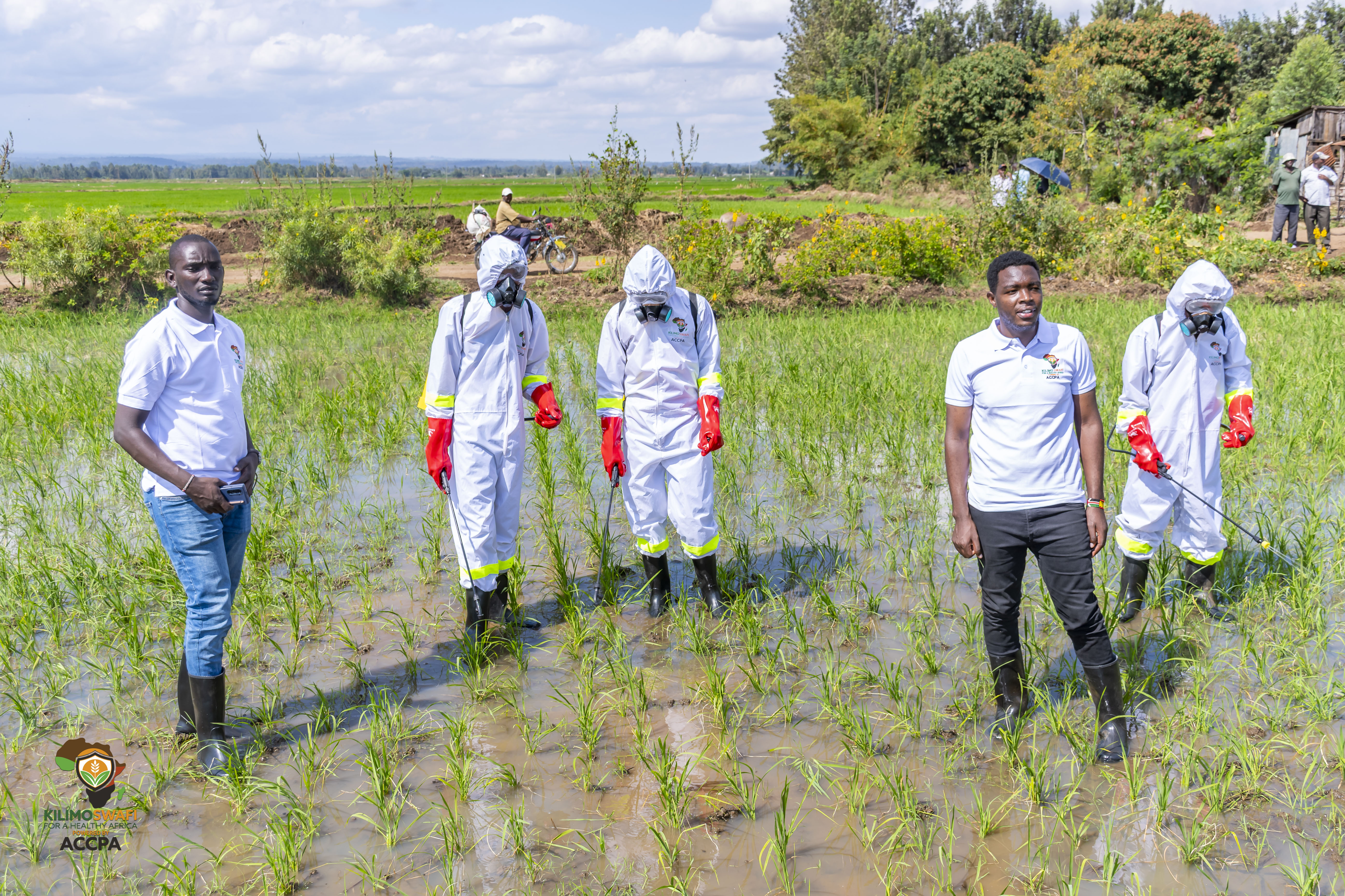 Safety Around Livestock